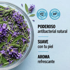 Powerbum Purify Limpiador Desinfectante Íntimo Tea Tree Lavanda